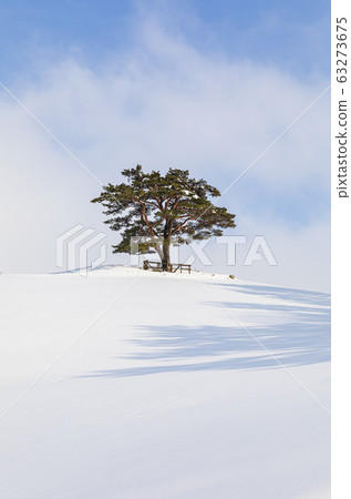 大關嶺天空牧場雪景 大關嶺天空牧場雪景 63273675