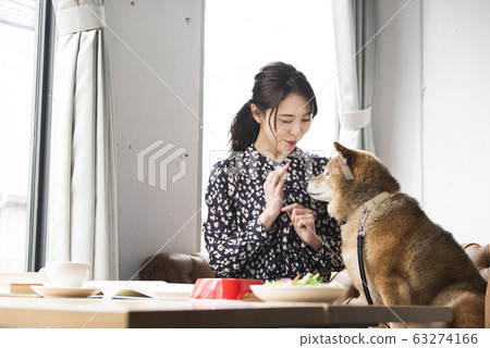 碼頭咖啡廳的女人狗 63274166