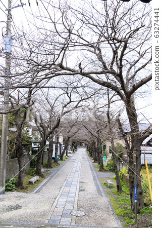 Shomei-ji Temple (Early Spring) 63274441