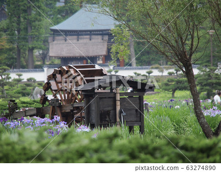 水磨坊和虹膜 63274890