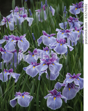 Flower shovel 63274892