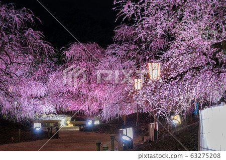 Light up the Suzuka Forest Garden 63275208