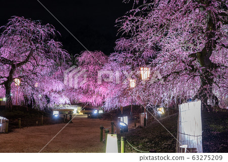 Light up the Suzuka Forest Garden Light up the Suzuka Forest Garden 63275209