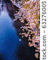 Meguro River Sakura 2 63276005