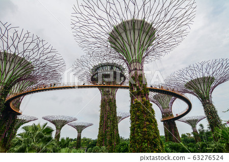 Supertree Grove in Marina Bay, Singapore Supertree Grove in Marina Bay, Singapore 63276524