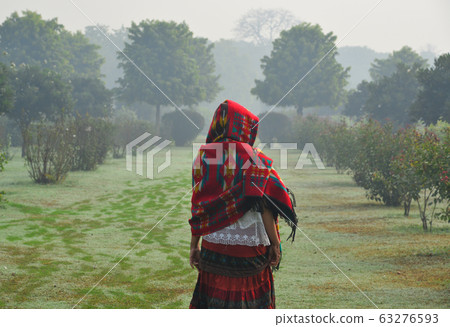 A woman in traditional saree at green park 63276593