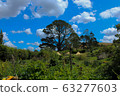 Hobbit Village 63277603