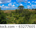Hobbit Village 63277605