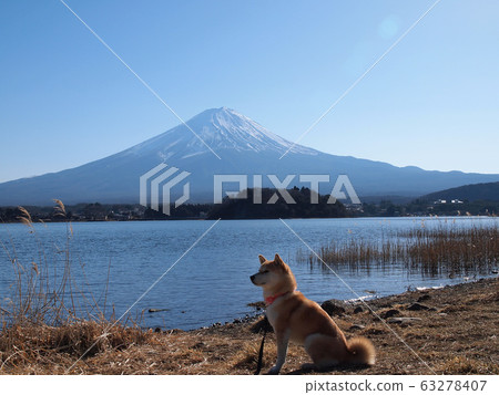 在川口湖 63278407