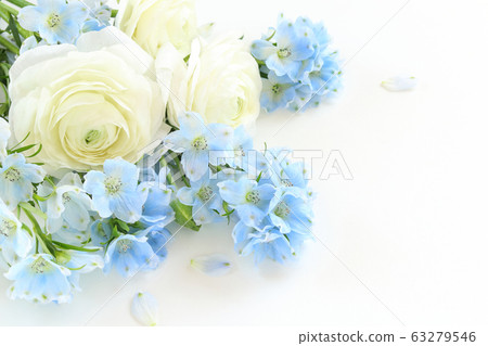 White and blue flowers White and blue flowers 63279546