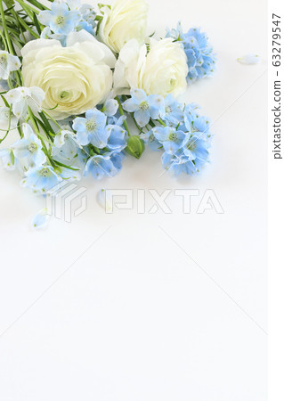 White and blue flowers White and blue flowers 63279547