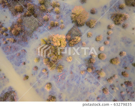 Trees in submerged floodplains 63279835