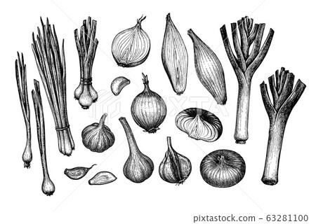 Onions, garlic, leeks and scallions. 63281100