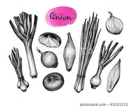 Onions, leeks and scallions. 63281133