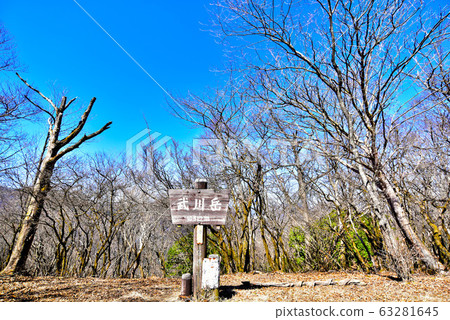 奧山武藏垂直跑7竹川岳峰會 63281645