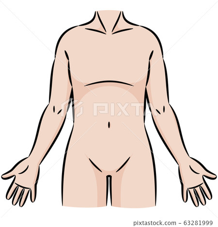 Human body parts torso color cartoon illustration material 63281999