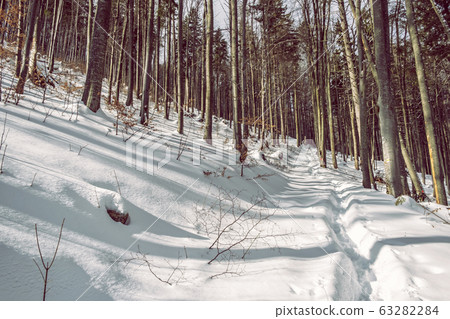 Big Fatra mountains, Slovakia, snowy landscape Big Fatra mountains, Slovakia, snowy landscape 63282284