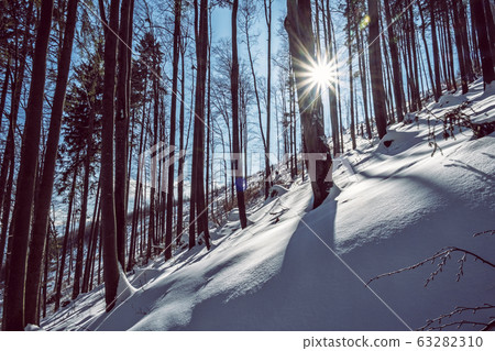Big Fatra mountains, Slovakia, snowy landscape Big Fatra mountains, Slovakia, snowy landscape 63282310