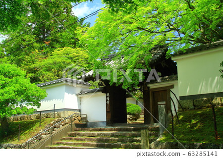 Fresh green of Myoinkoji Temple (Kyoto-shi Higashiyama-ku) 63285141