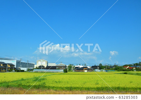 Scenery along the Hokuriku Main Line Scenery along the Hokuriku Main Line 63285303