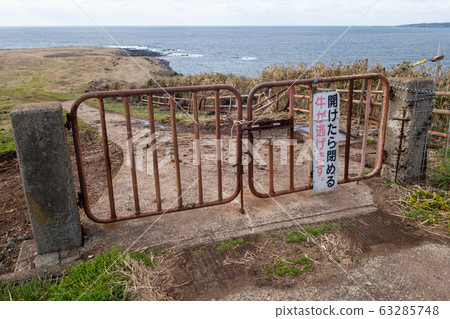 小島長崎花 小島長崎花 63285748