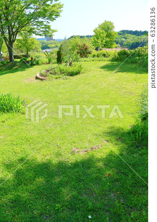 Spring garden full of greenery 63286136