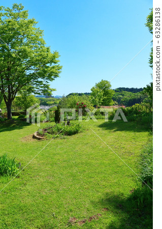 充滿綠色的春天花園 63286138