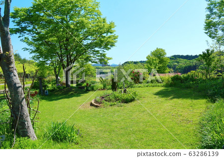 充滿綠色的春天花園 63286139