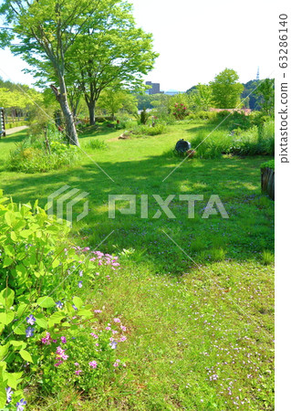 充滿綠色的春天花園 63286140