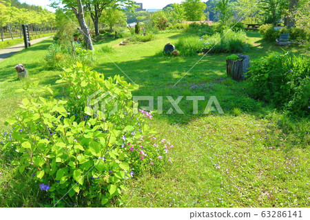 充滿綠色的春天花園 63286141