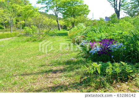 充滿綠色的春天花園 63286142