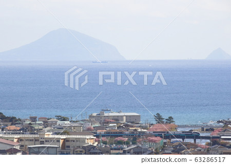 特快超級景觀Odoriko前往春季河津町 63286517