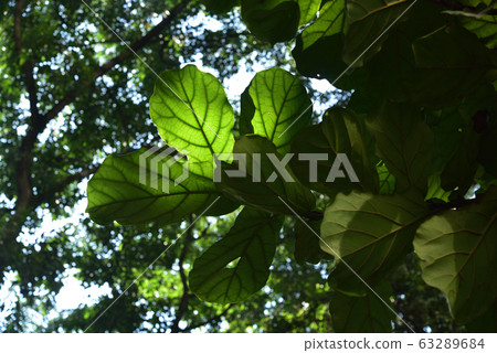Chapelle de Sombra and the morning sun Chapelle de Sombra and the morning sun 63289684