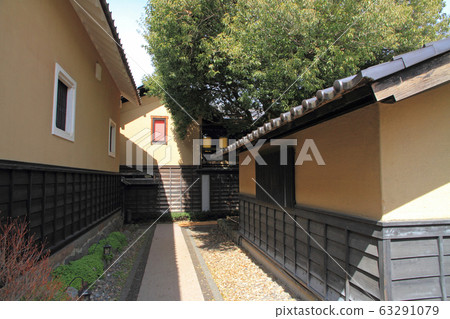 小直徑的板栗 63291079