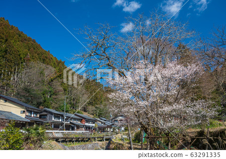 梅花盛開的京都樂北鞍馬風景 梅花盛開的京都樂北鞍馬風景 63291335