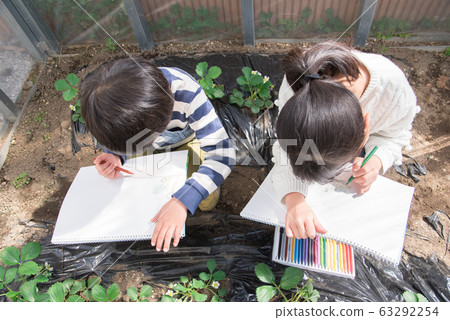 Elementary school students sketching strawberry seedlings Elementary school students sketching strawberry seedlings 63292254