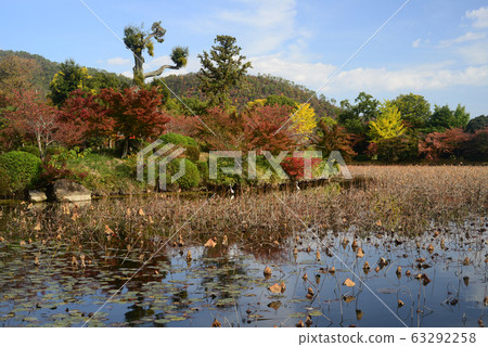 Autumn Osawa Pond-10 63292258