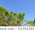 Sky  63292285