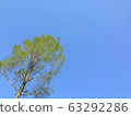 Sky  63292286