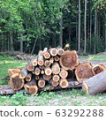A log 63292288