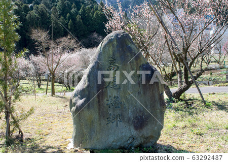 東京八王子市 Takao Umekyo Takao Ume no Sato Machi no Hiroba 東京八王子市 Takao Umekyo Takao Ume no Sato Machi no Hiroba 63292487
