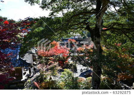 Autumn Omi Autumn Omi 63292875
