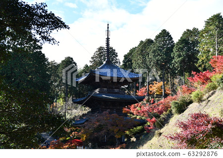 Autumn Omi Autumn Omi 63292876
