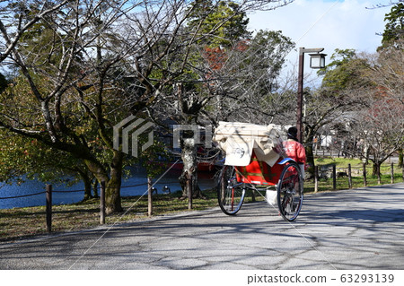Autumn Omi Autumn Omi 63293139