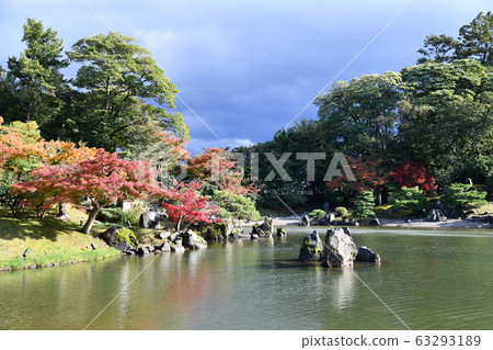 Autumn Omi Autumn Omi 63293189