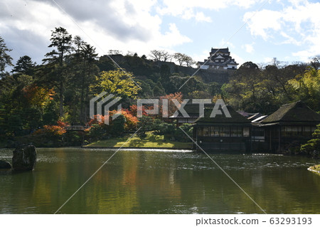 Autumn Omi Autumn Omi 63293193