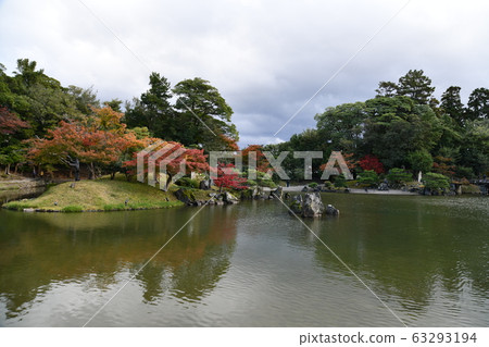 Autumn Omi Autumn Omi 63293194