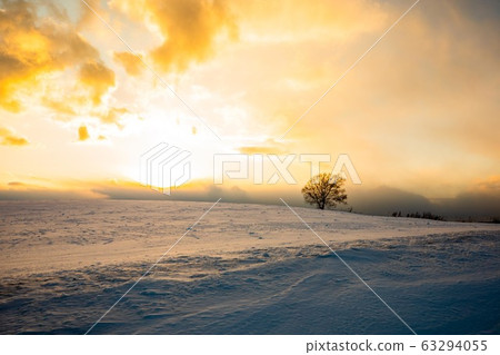 Dusk of Biei winter Dusk of Biei winter 63294055