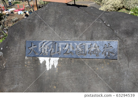 橫濱大倉山公園梅 橫濱大倉山公園梅 63294539