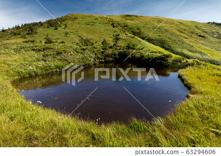 View of the ponds of autumn leaves and Mt. 63294606